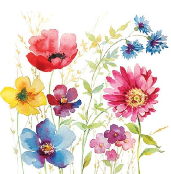 a watercolor painting of colorful flowers on a white background