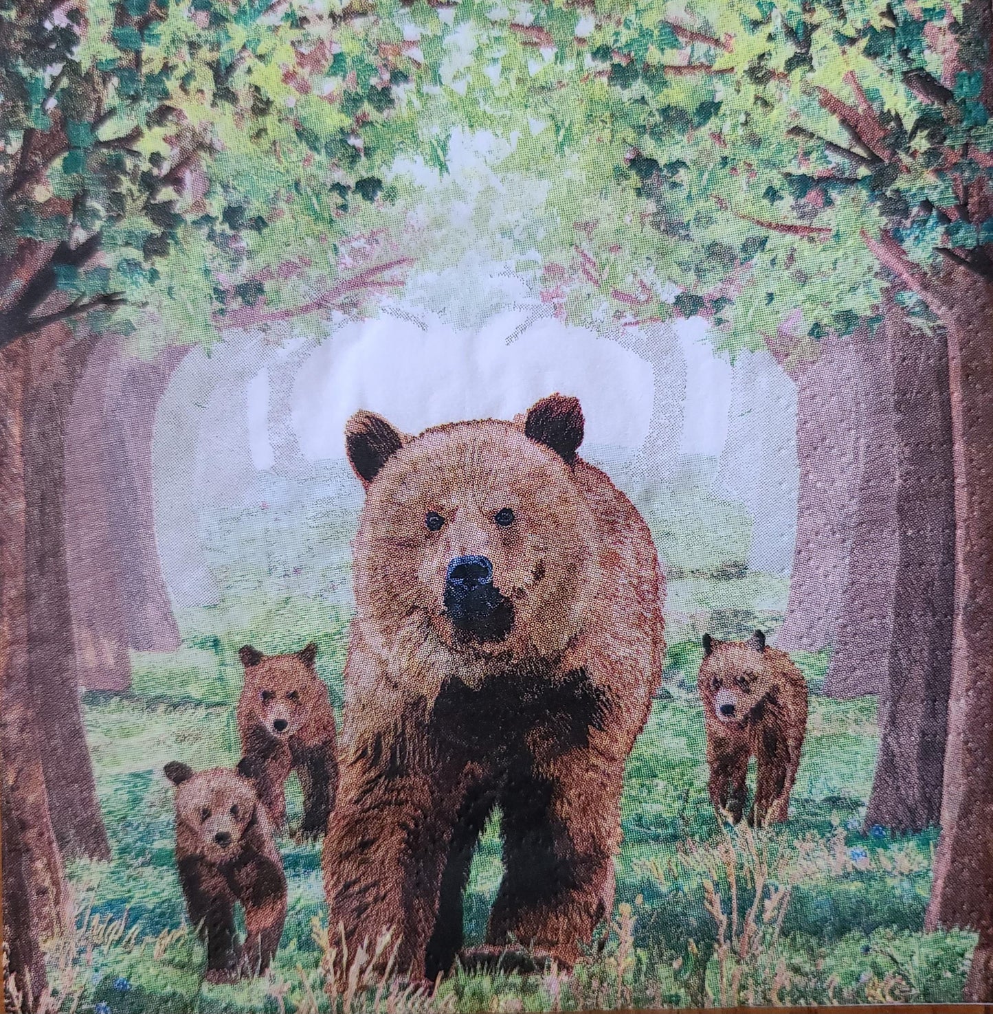 Bear Family Paper Napkin - Cocktail Size