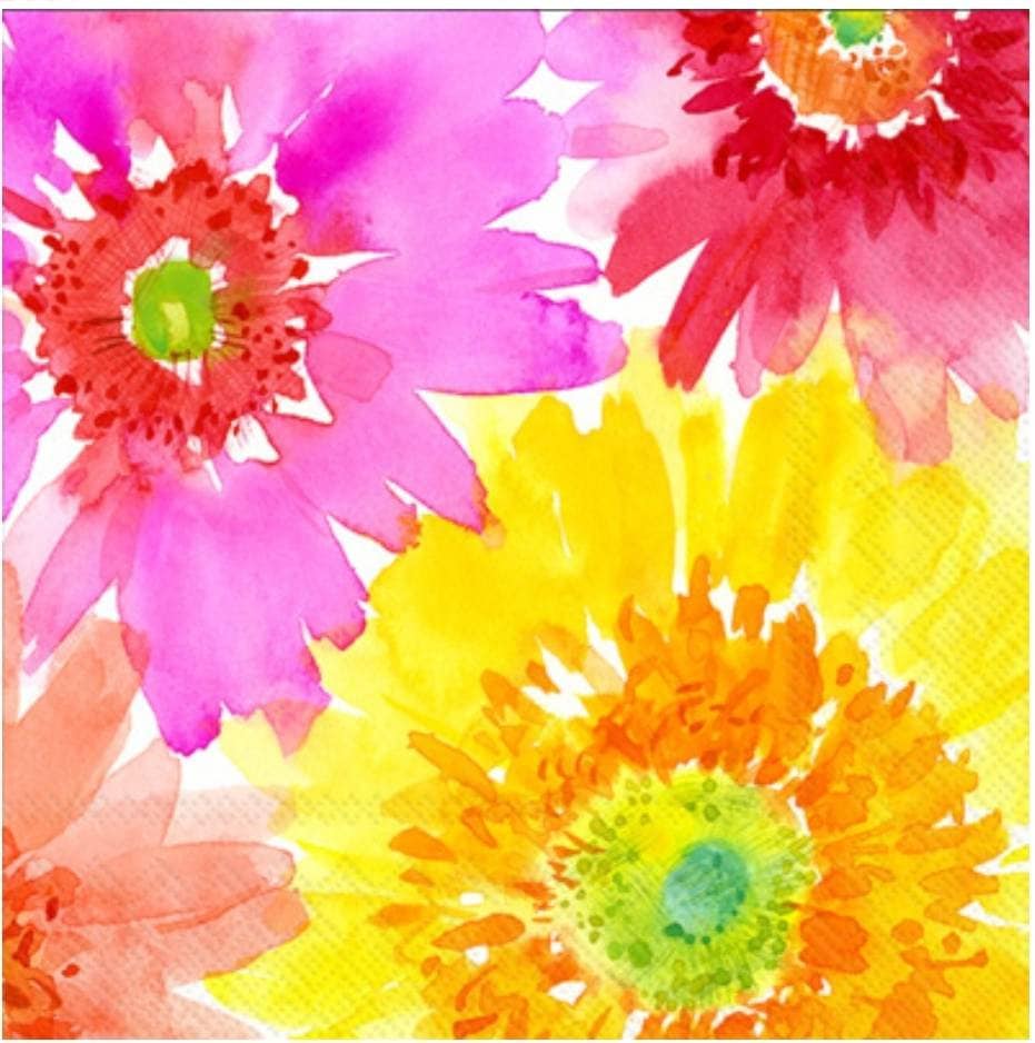 Gerber Daisy Paper Napkin - Cocktail Size