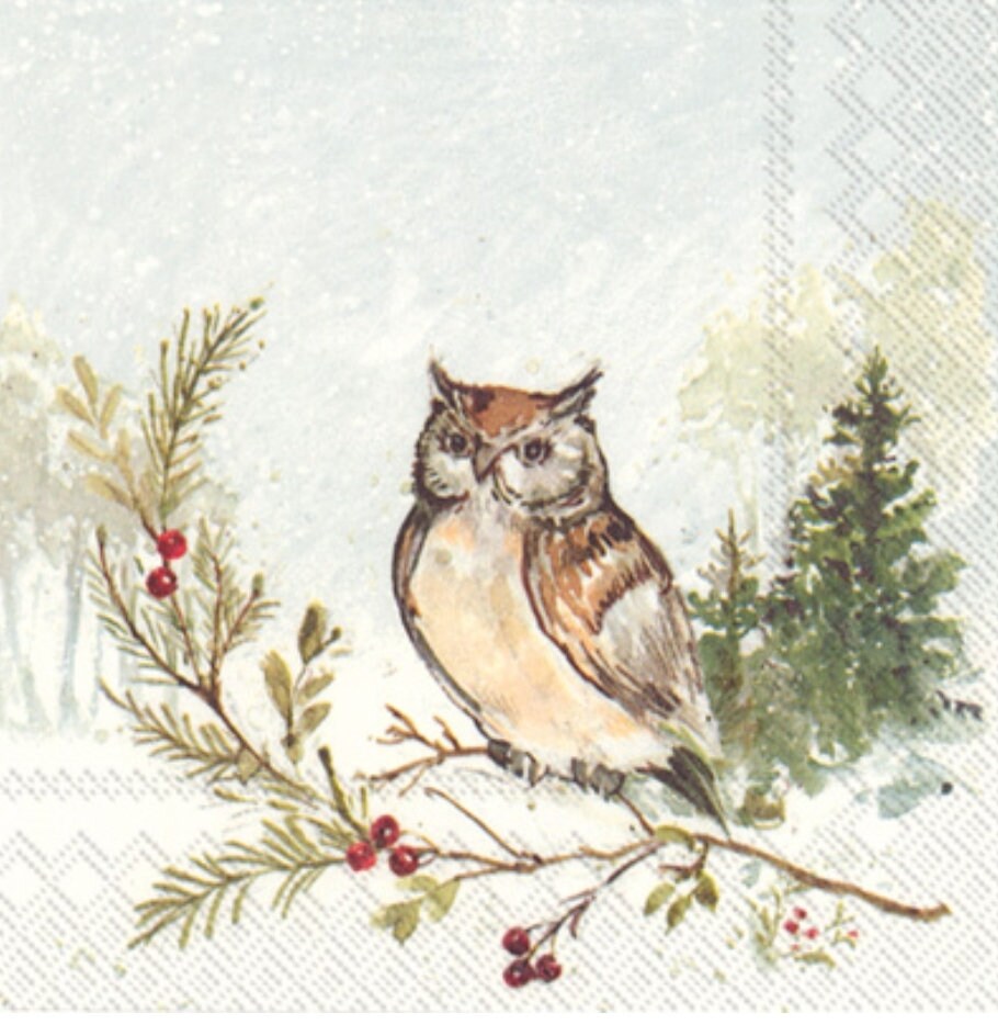 Owl Paper Napkin - Cocktail Size