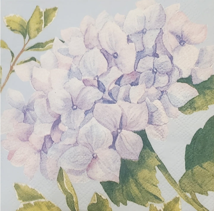Hydrangea Paper Napkin - Cocktail Size