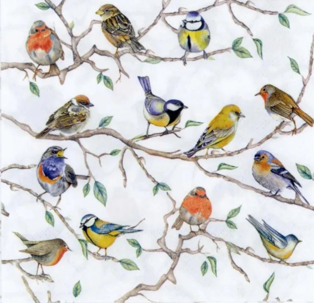 Birds on Branches Paper Napkin - Cocktail Size