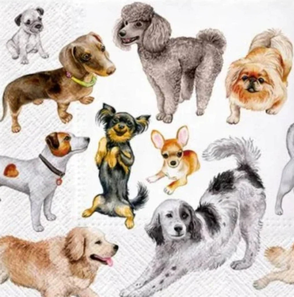 Dog Variety Paper Napkin - Luncheon Size