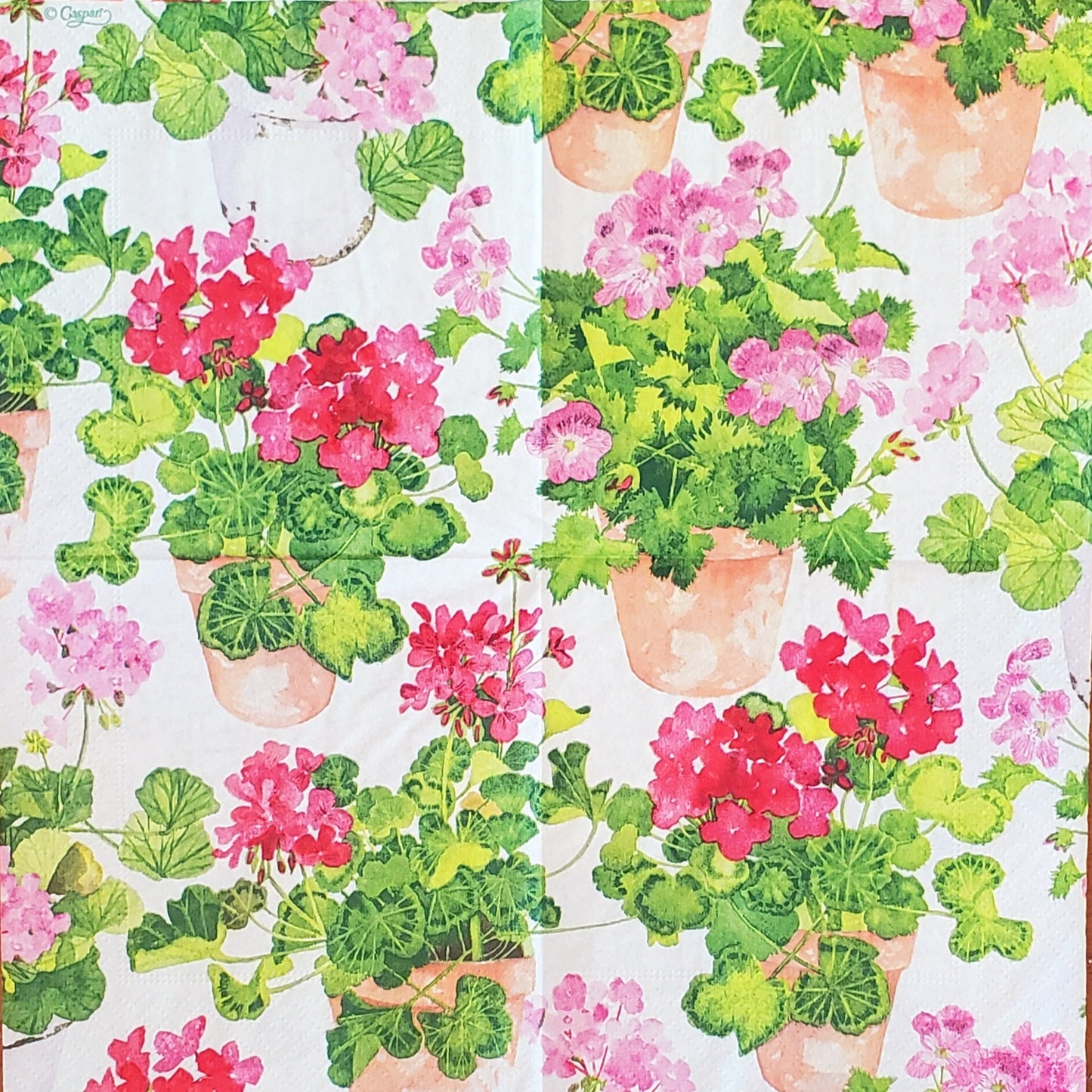 Geranium Pots Paper Napkin - Cocktail Size