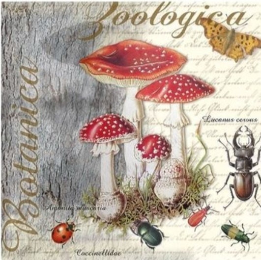 Red Mushroom Paper Napkin - Cocktail Size