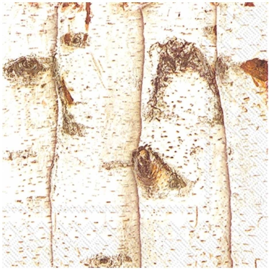 Birch Barl Paper Napkin - Cocktail Size