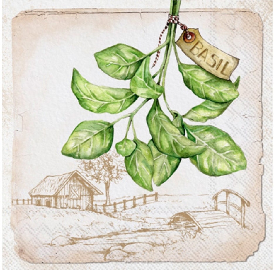 Basil Herb Paper Napkin - Luncheon Size