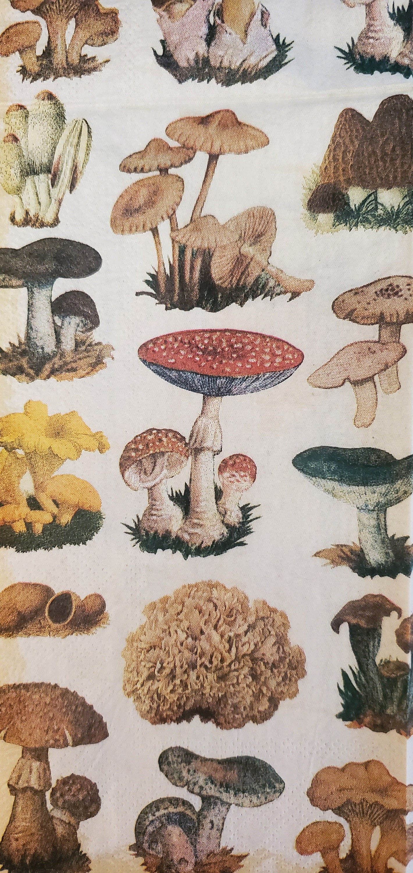 Vintage Mushroom Botanical Paper Napkin - Guest Size