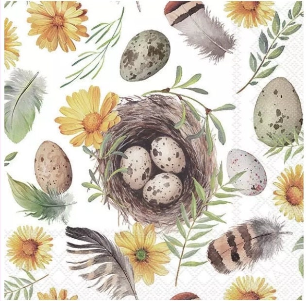 Bird Nest Egg Feather Paper Napkin -Luncheon Size