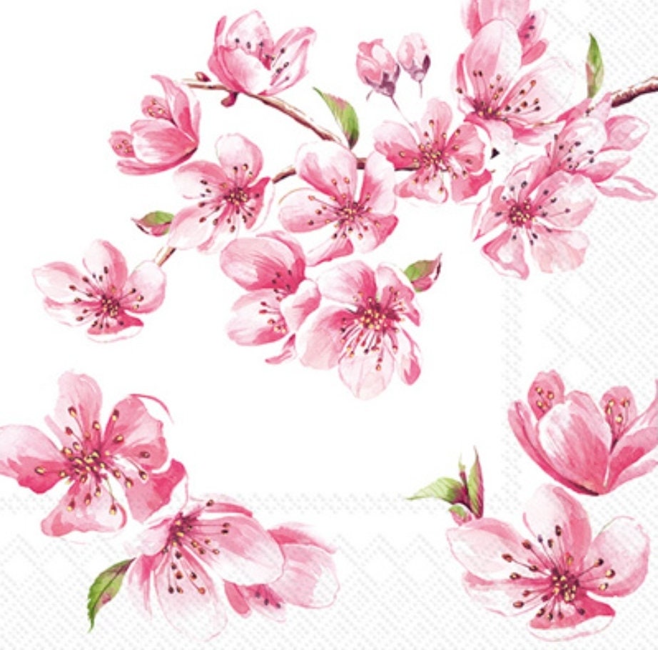 Spring Blossom Paper Napkin - Cocktail Size