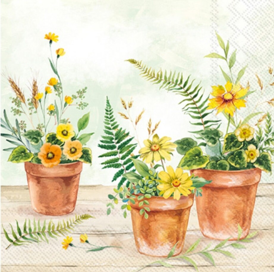Flowers in Pots Paper Napkin - Cocktail Size