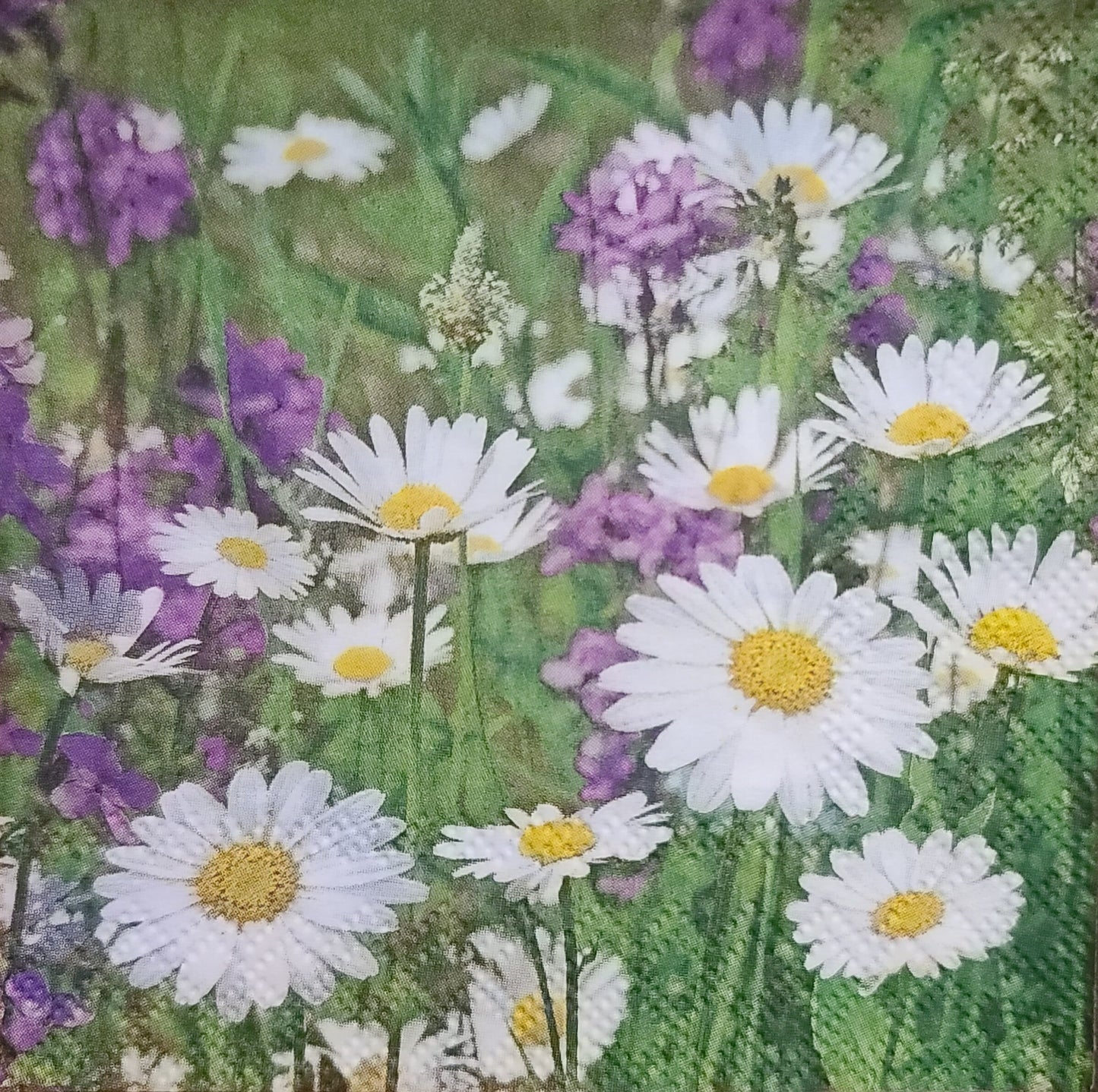 Daisy Meadow Paper Napkin - Cocktail Size