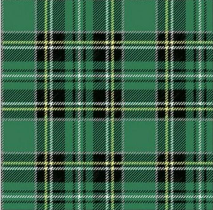 Green Tartan Plaid Paper Napkin - Luncheon Size