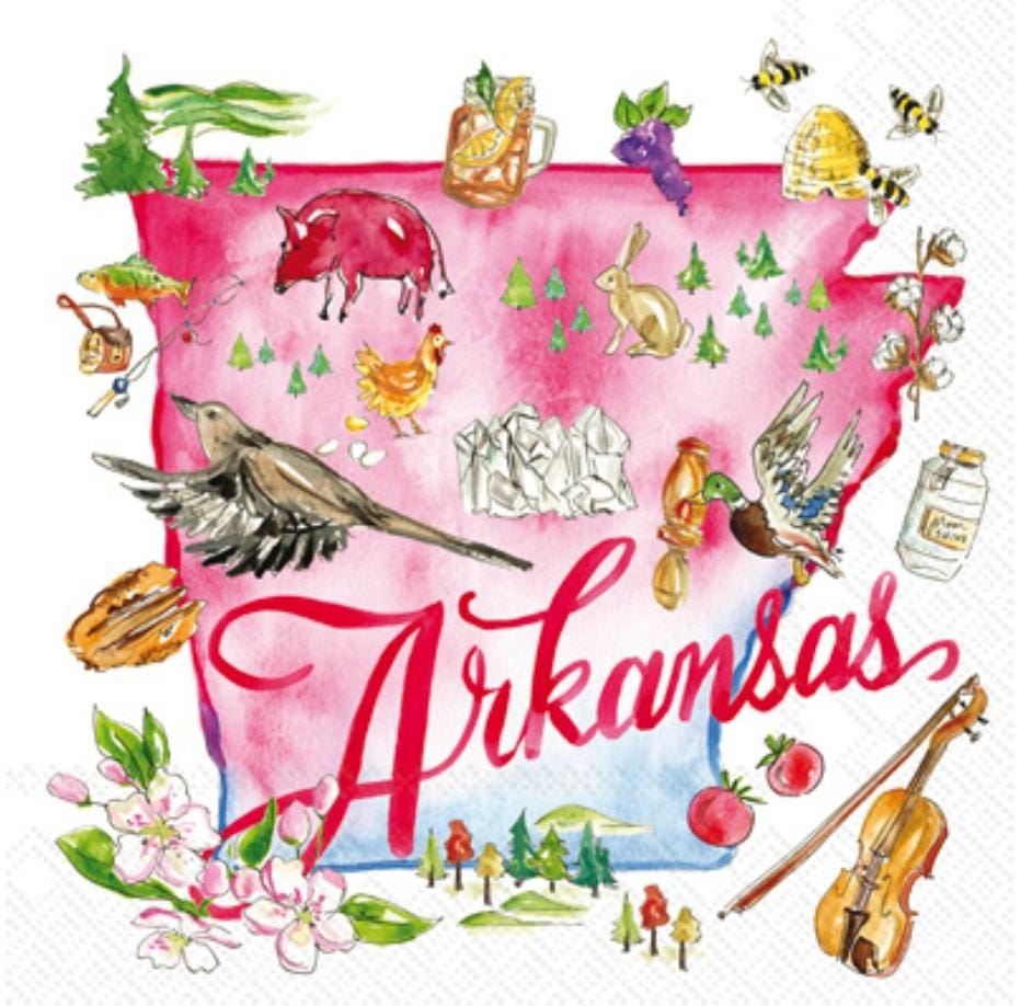 Arkansas State Paper Napkin - Cocktail Size