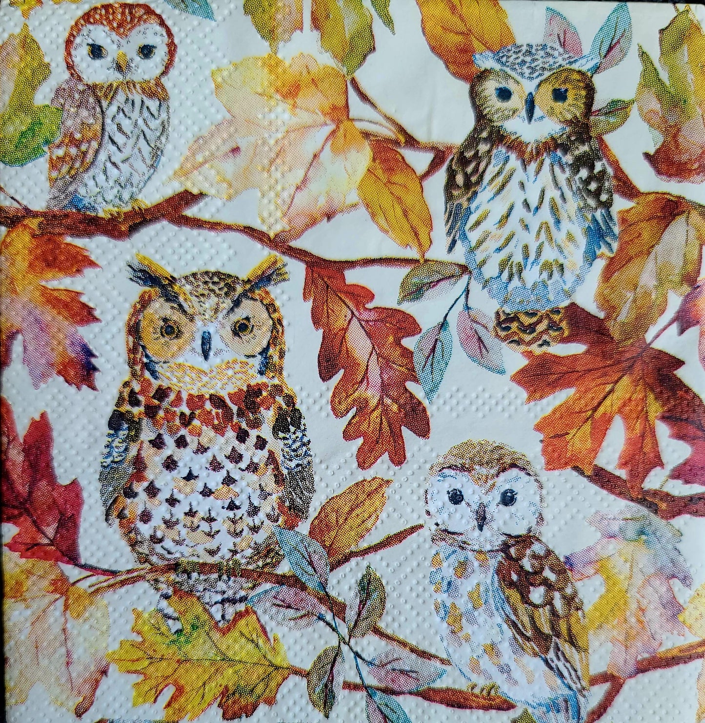 Fall Owls Paper Napkin - Cocktail Size