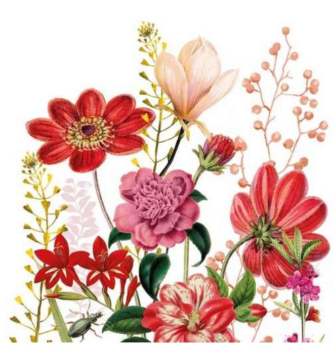 Frida Red Mexico Flowers Rose Lily Flower Paper Napkin - Luncheon Size