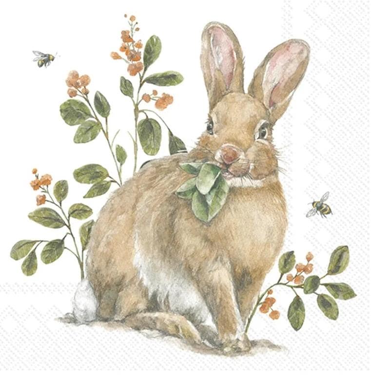Easter Bunny Clover Paper Napkin - Cocktail Size
