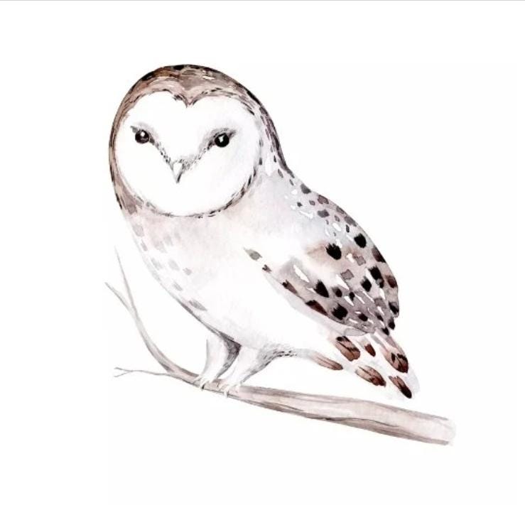 Winter Owl Family Paper Napkin - Luncheon Size