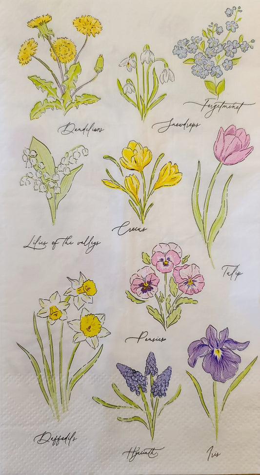 Flower Garden Names Paper Napkin - Guest Size