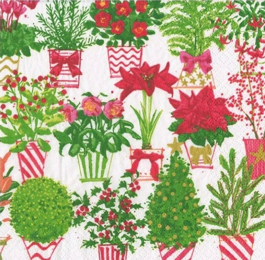 Christmas Flowers Paper Napkin - Cocktail Size