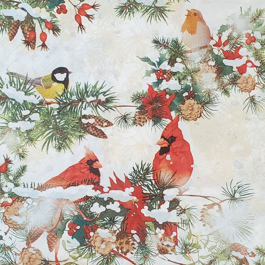 Christmas Cardinal Paper Napkin - Luncheon Size