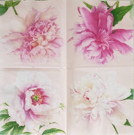 Peony Paper Napkin - Cocktail Size