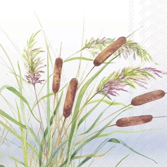 Grass & Cattails Paper Napkin - Cocktail Size