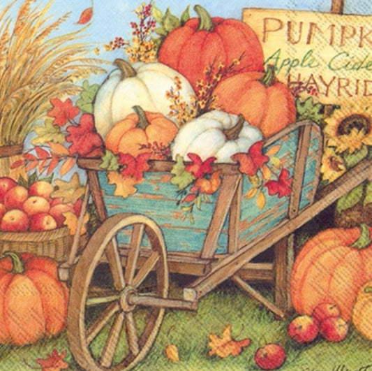 Pumpkin Harvest Paper Napkin - Cocktail Size