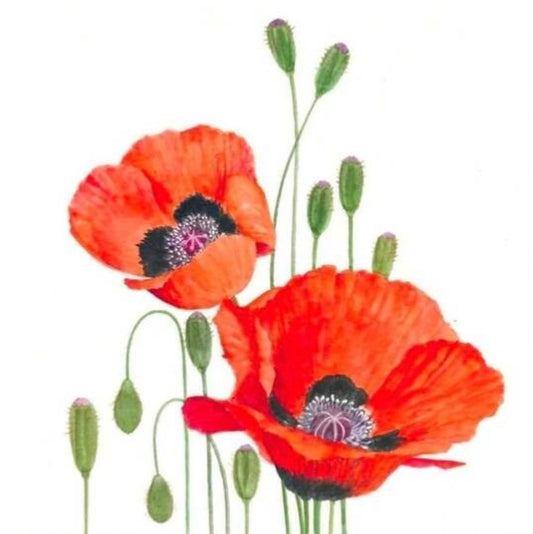 Poppy Paper Napkin - Cocktail Size