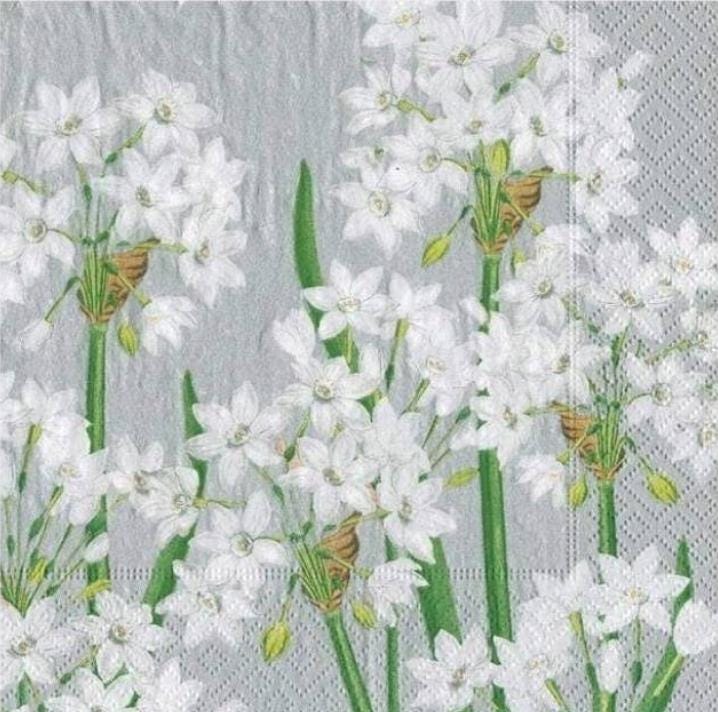 Paper Whites Flowers Paper Napkin - Cocktail Size
