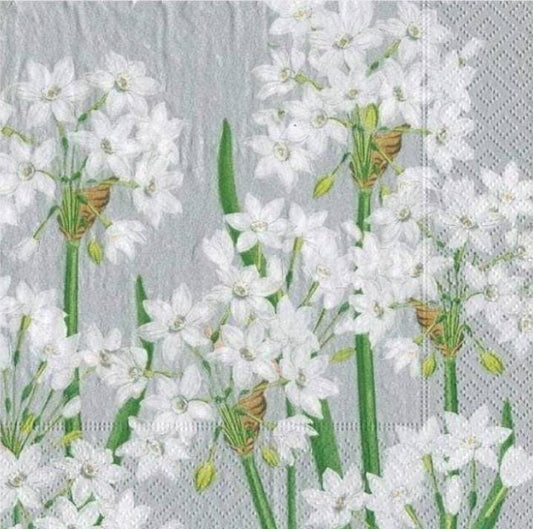 Paper Whites Flowers Paper Napkin - Cocktail Size