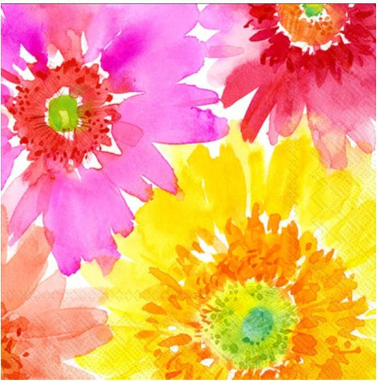 Gerber Daisy Paper Napkin - Cocktail Size