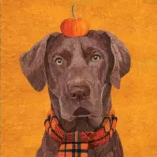 Fall Labrador Paper Napkin - Cocktail Size