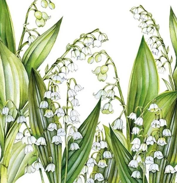 a painting of lily of the valley flowers