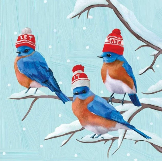 Christmas  Bird Hats Paper Napkin - Cocktail Size