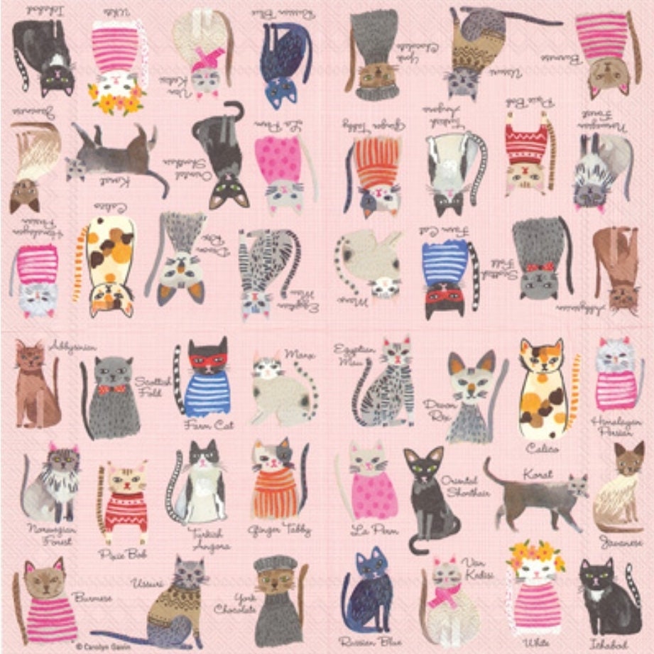Cat Paper Napkin - Cocktail Size