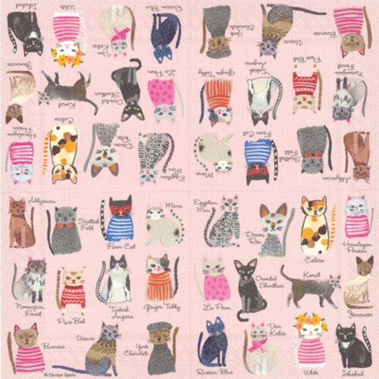Cat Paper Napkin - Cocktail Size