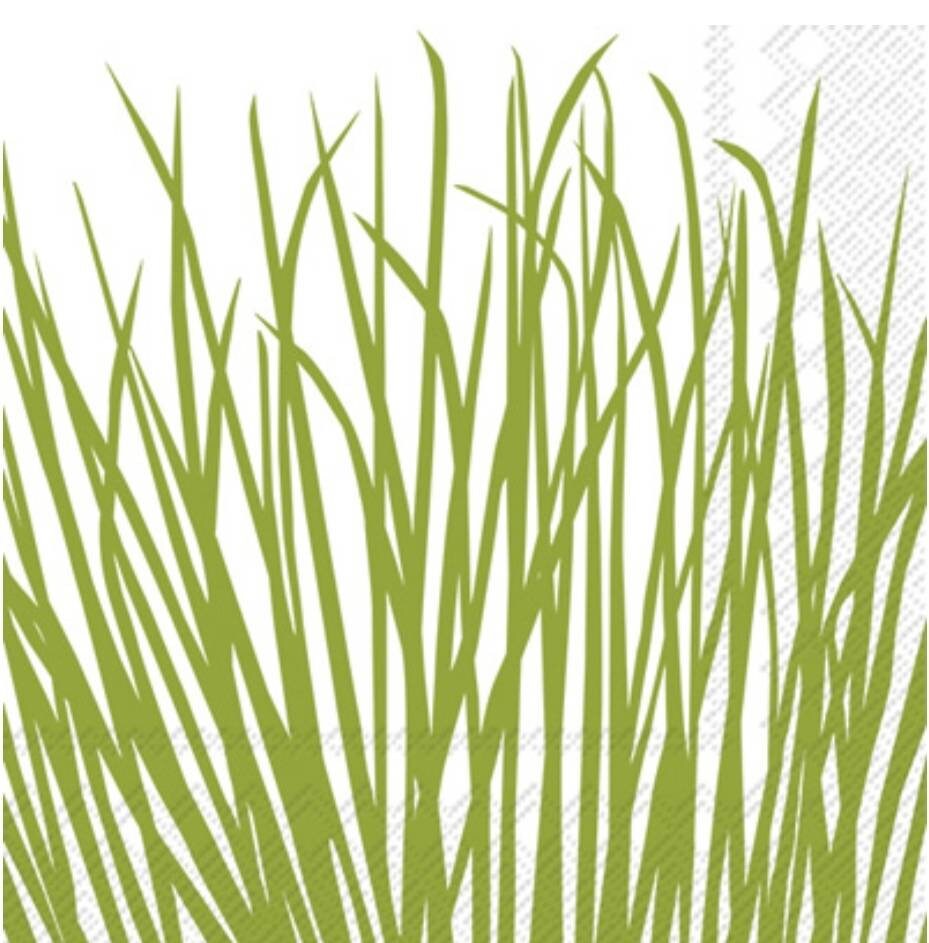 Grass Paper Napkin - Cocktail Size