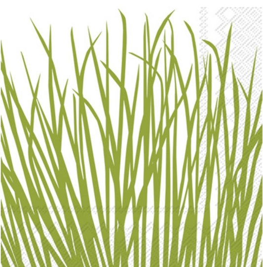 Grass Paper Napkin - Cocktail Size