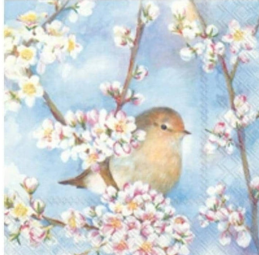 Spring Bird Paper Napkin - Cocktail Size