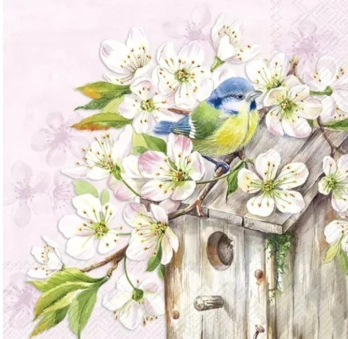Spring Bird House Paper Napkin - Cocktail Size