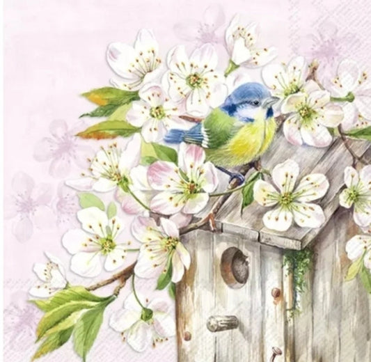 Spring Bird House Paper Napkin - Cocktail Size