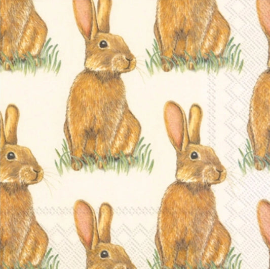 Easter Bunny Paper Napkin - Luncheon Size