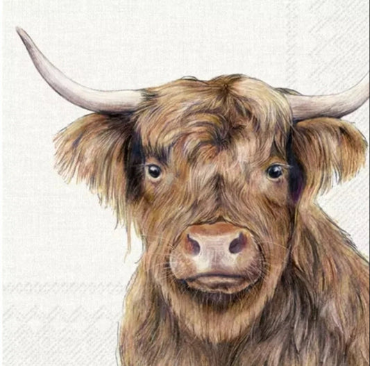 Highland Cow Paper Napkin - Luncheon Size