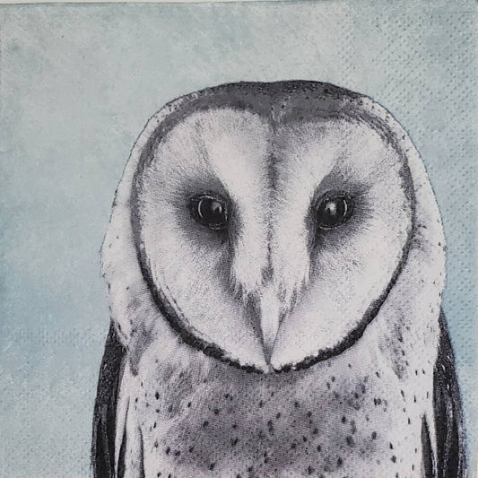 Owl Paper Napkin - Cocktail Size