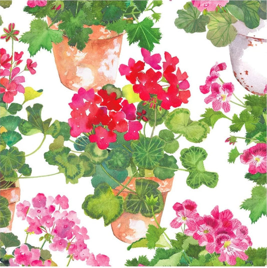 Geranium Pots Paper Napkin - Cocktail Size