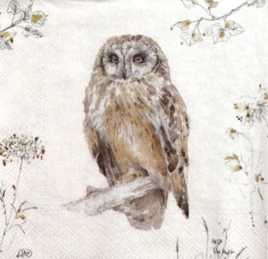 Owl Paper Napkin - Cocktail Size