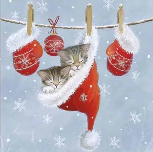 Christmas Kittens  - Cocktail Size