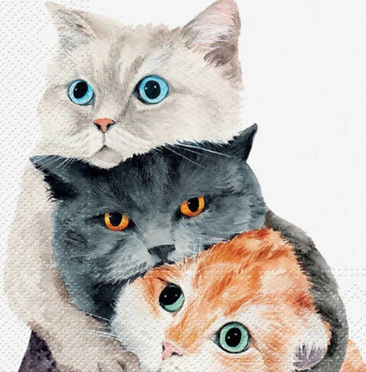 Cat Trio Paper Napkin - Luncheon Size