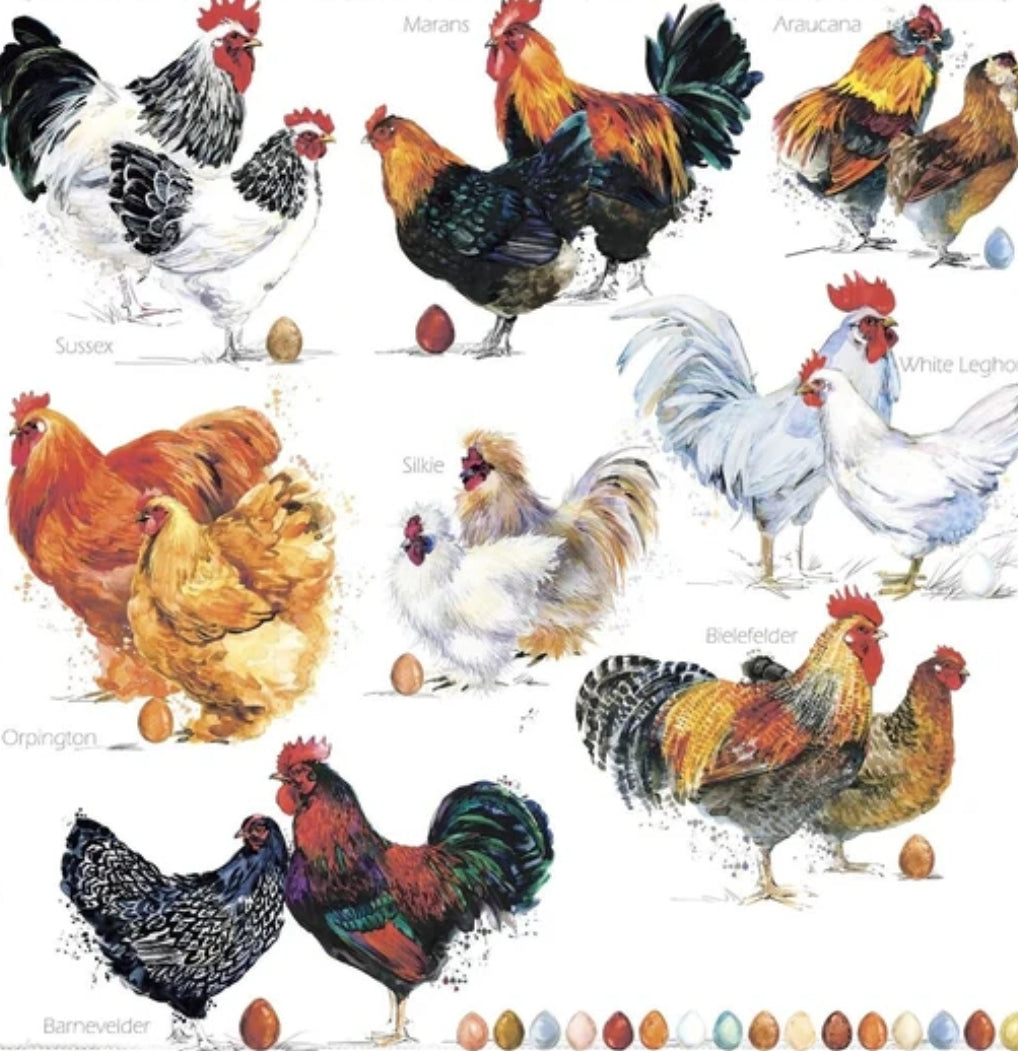 Chicken Paper Napkin - Luncheon Size